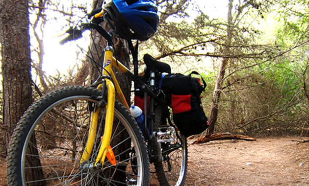 Servicos apart Barlovento